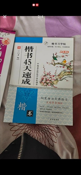 成人楷书钢笔字帖大中小学生正楷速成钢笔临摹...