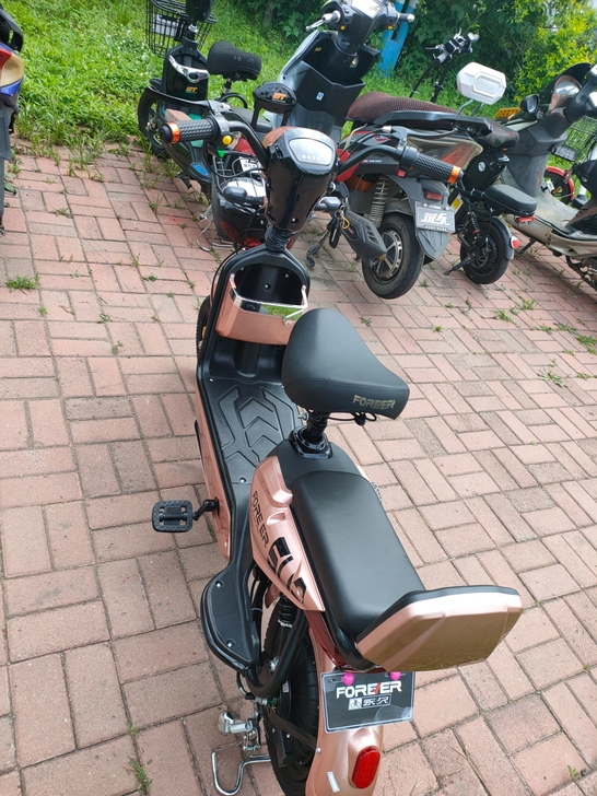 全新永久电动车，因搬家出售，乌马河看车65...