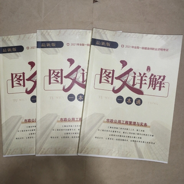 杏花樱花梅花2021年 新版一建图文详解一...