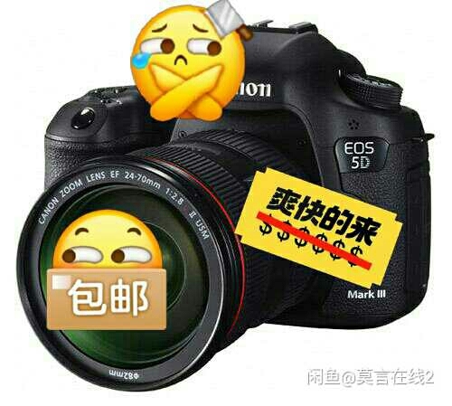 莫言在线 森林专属