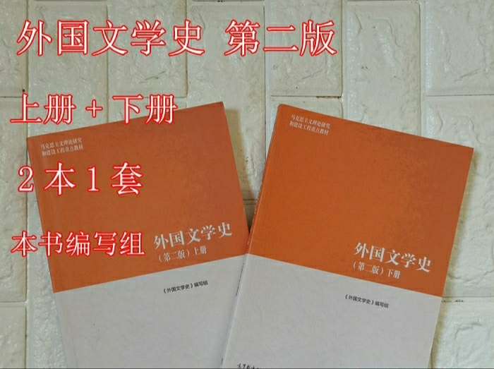 正版外国文学史 第二版上下册 聂珍钊 高等...