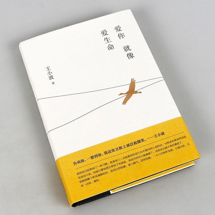 爱你就像爱生命精装珍藏版王小波