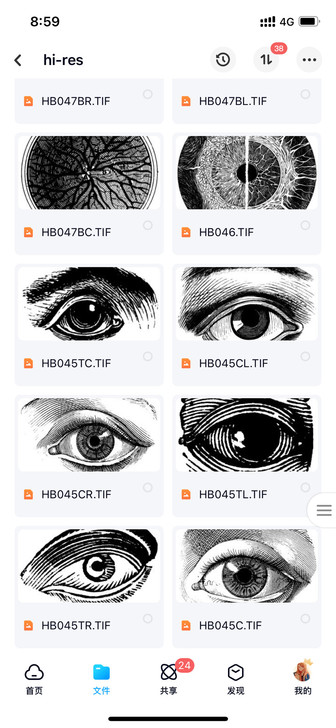 近三百张人体骨骼肌肉解剖插画风图片素材pan