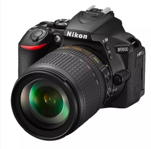 3毛一个，好照片啊