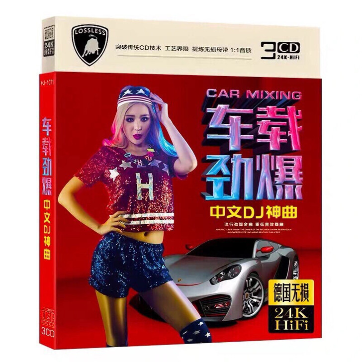 车载劲爆中文DJ神曲cd 大风吹 流行舞曲...