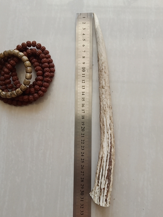 鹿角，鹿角炳料，鹿角雕刻，鹿角贴片，鹿角挂...