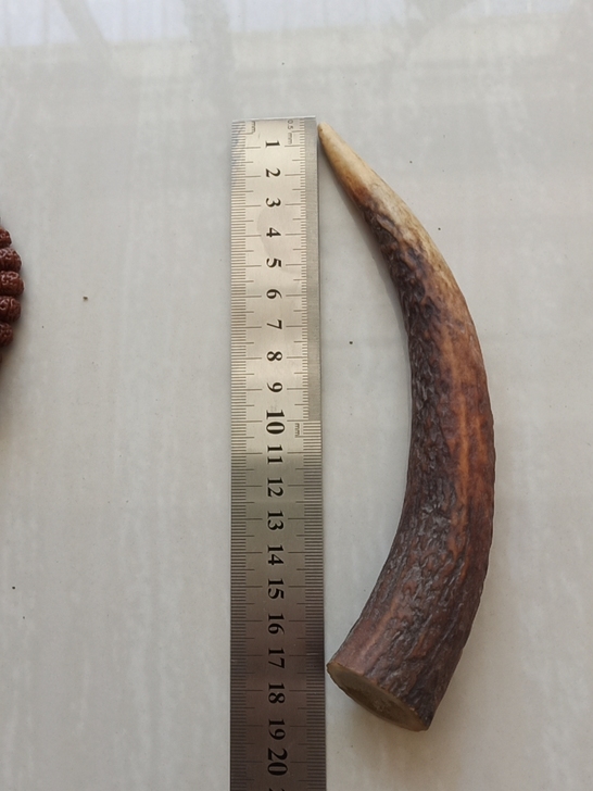 鹿角，鹿角炳料，鹿角雕刻，鹿角贴片，鹿角挂...