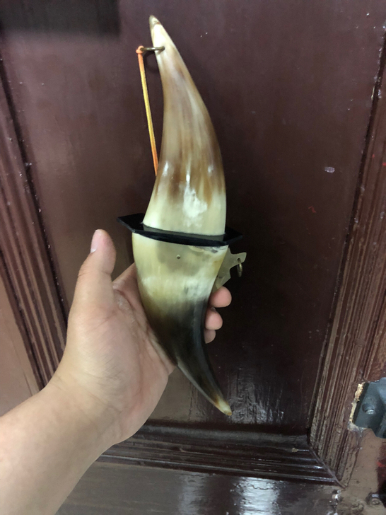 牛角工艺品 蒙古带来 长30cm