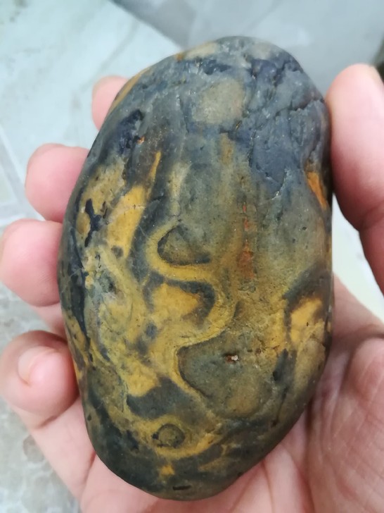 #黄色化石，9公分