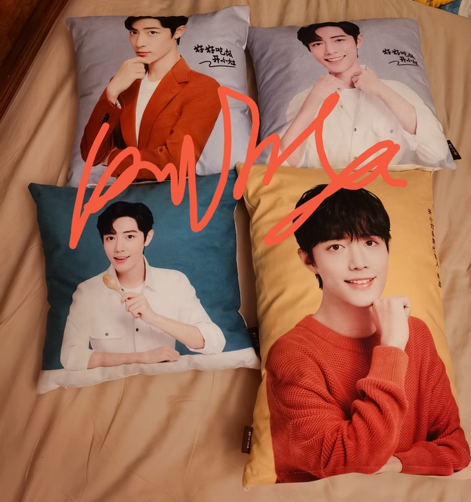 肖战 抱枕 开小灶 周边 四个打包出 全新...