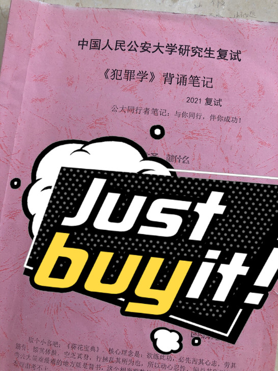 公大考研 复试犯罪学 铅笔笔记