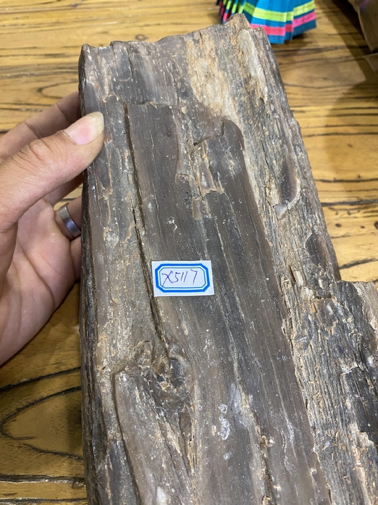 老树化石，一块树化石，天然树化石，从我祖父...