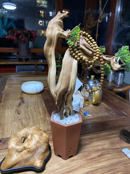 闲置崖柏出售