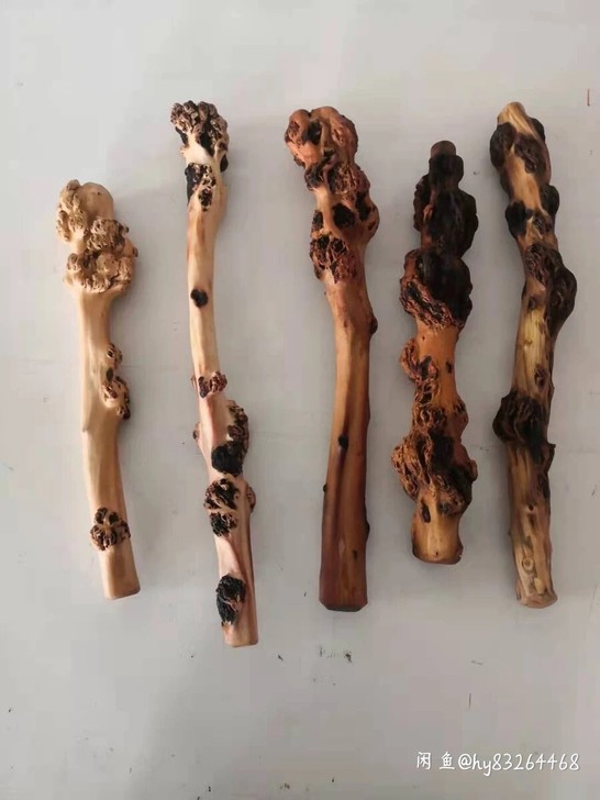 云南黑果木把玩件，尺寸如图，50元一根包邮...