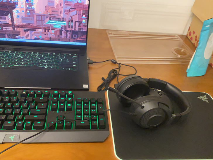 Razer雷蛇2020版 16g内存 显卡...
