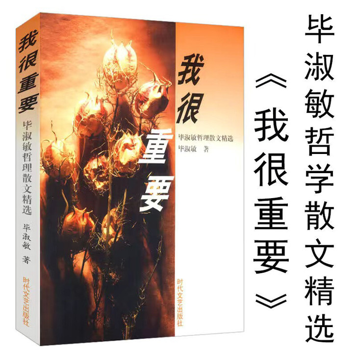 我很重要  毕淑敏散文集精选
