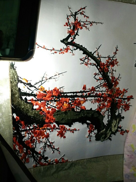 刺绣画,可以裱起来挂墙上,本人比较懒,买来...