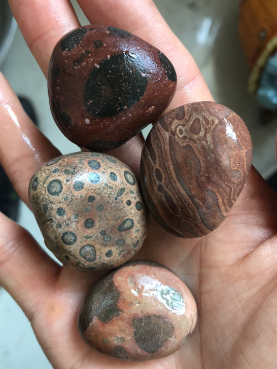 虎皮石,化石,4颗打包