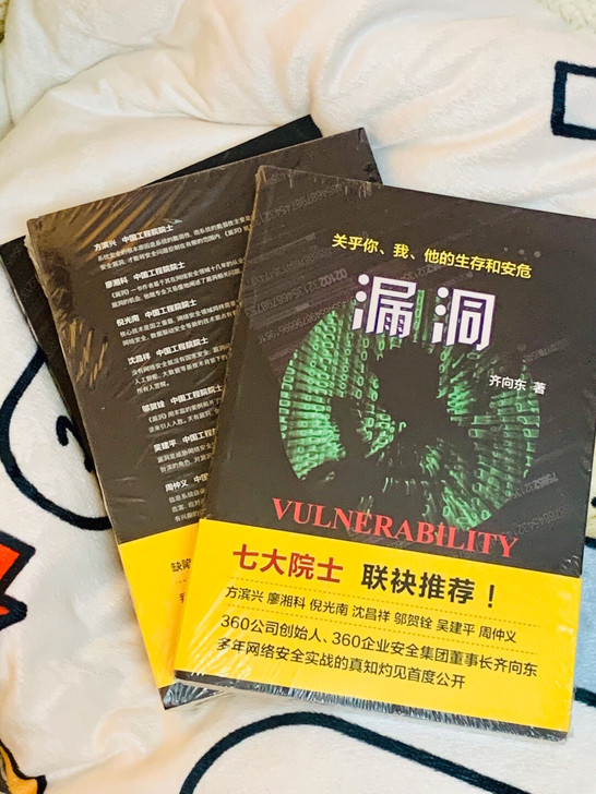《漏洞》by 齐向东
