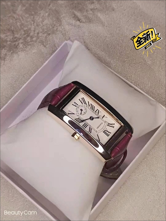 名牌女士手表时尚防水高端女士腕表全自动机芯...