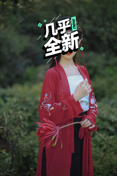 宋制一套，买来只穿了一次，汉服