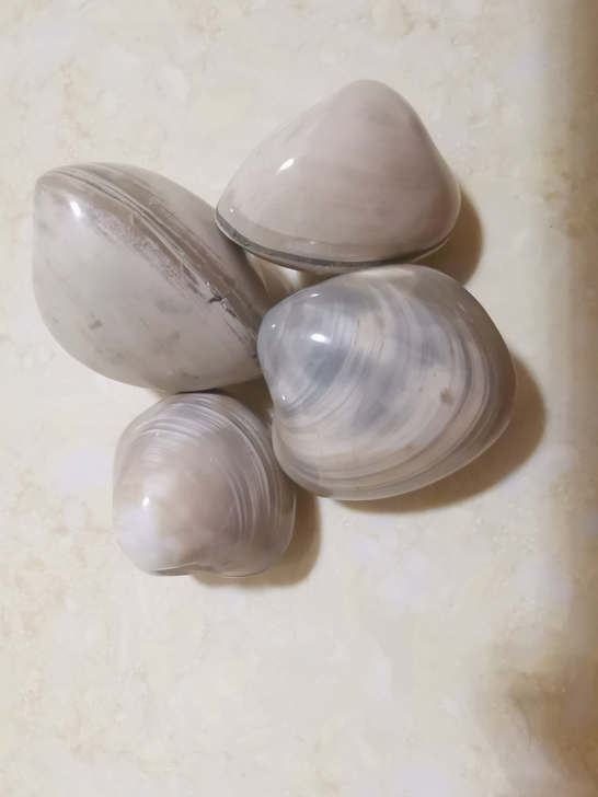 远古贝壳化石，4只共两个品种（每种两只）。...