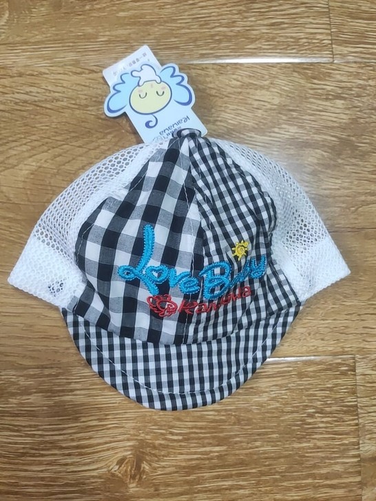 全新小帽子，鸭舌帽全新，带标签。赠一个蓝色...