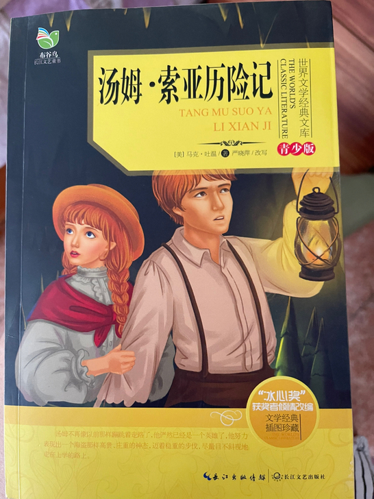汤姆索里历险记 青少年必读书！