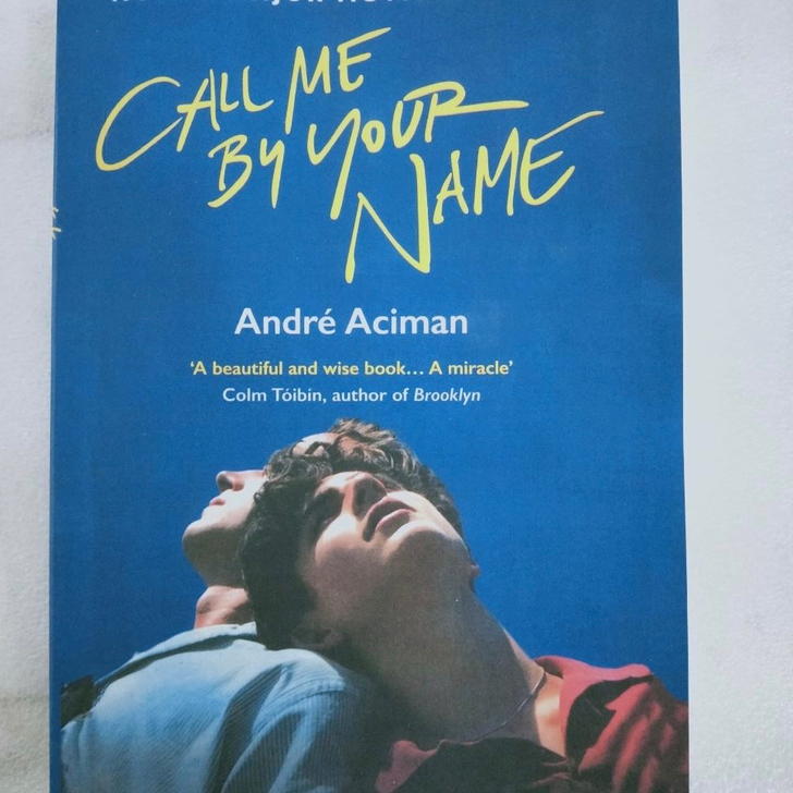 请以你的名字呼唤我 夏日终曲Call Me...