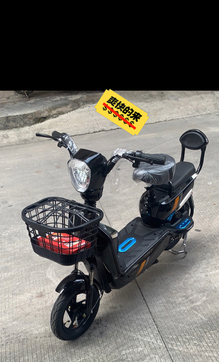 雅迪同款电动车 48V