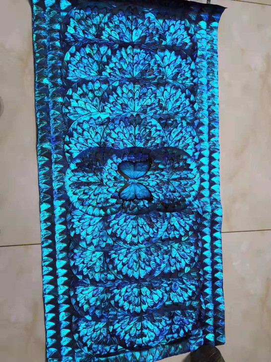 巴西热带雨林手工蓝闪蝶标本壁画