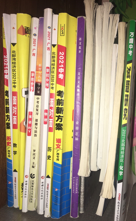 人教版中考复习资料