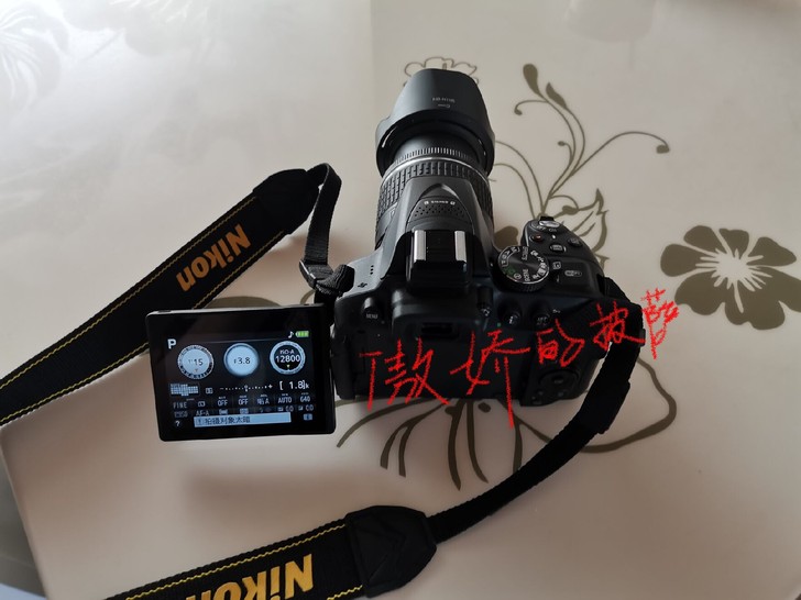 尼康D5300相机