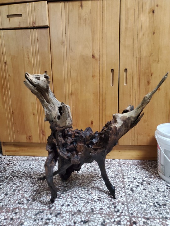 闲置沉木,高54,宽47,狼头造型,四平八...