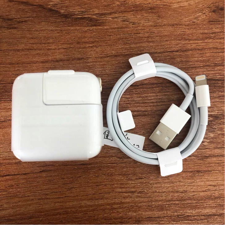 个人闲置 苹果原装充电器ipad12W充...