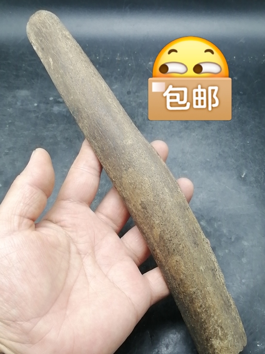 奇石～（老骨头化石）  自己捡的老骨头化石...