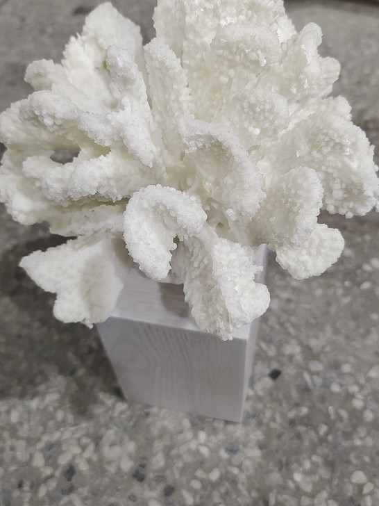 波斯澜家居摆件珊瑚摆件