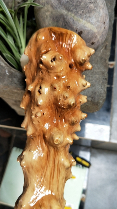 长25cm##amp；mdash；##am...