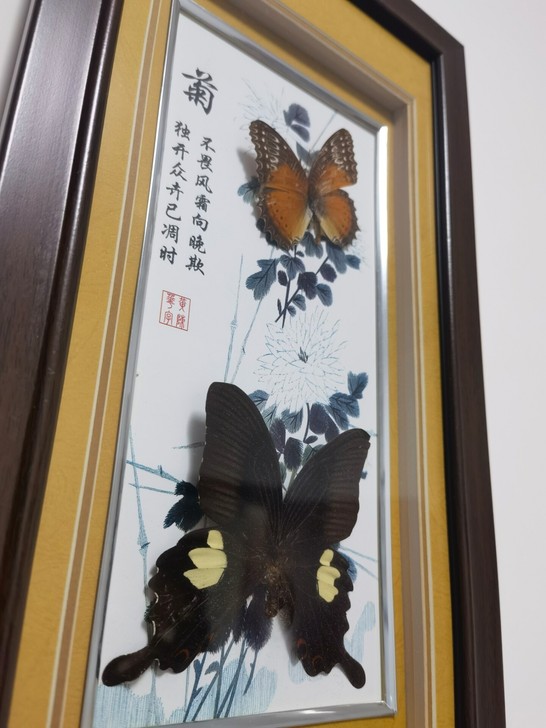 梅兰竹菊蝴蝶标本装饰画，单个价格为25元，...
