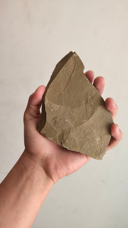 贝壳腕足类化石，较厚的一块岩石，里面可能还...