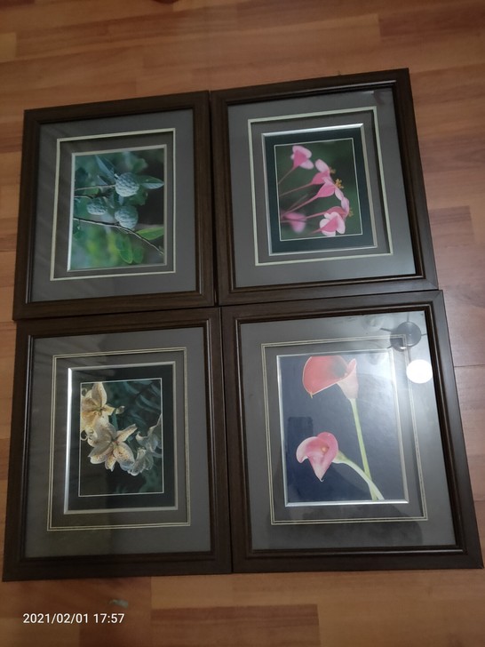 出售工艺画 镜框,9成新,可以直接悬挂,也...