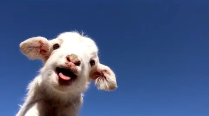 电脑软件##amp；middot；编程##...