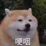 买一个二手苹果平板，只要个人用过的，400...
