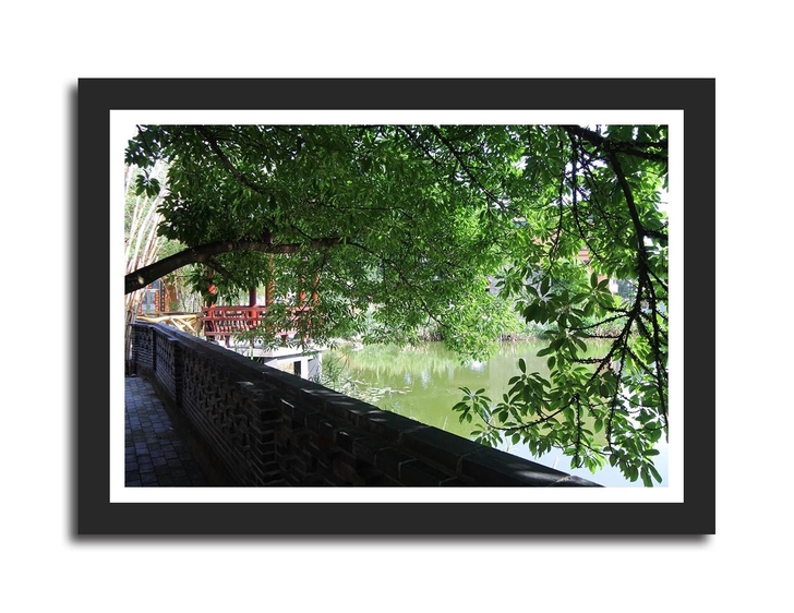 装饰画：夏凉。个人原创摄影作品。