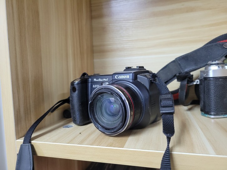 佳能 powershot pro1,喜欢带...