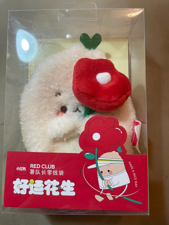 零钱包零钱袋卡通包小红书，全新