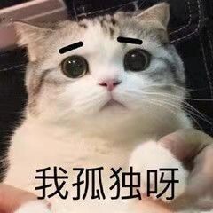 专拍链接