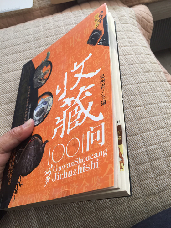 个人闲置书～史树青主编《古玩收藏100问》...
