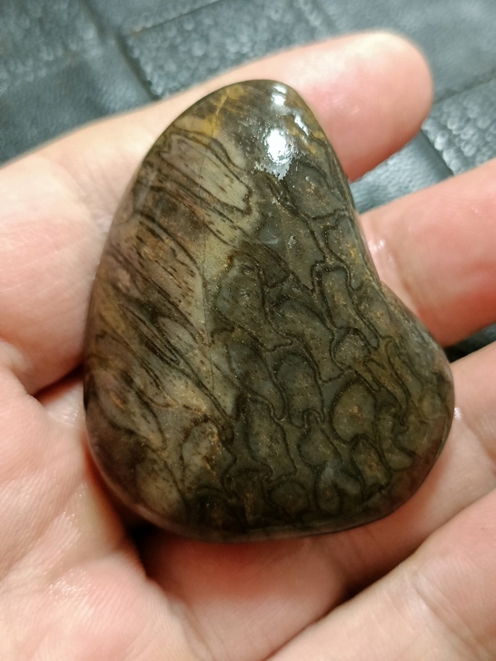 雨花石 辉木化石 江浙沪皖满50包邮