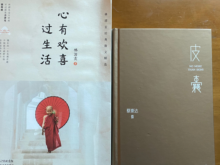 蔡崇达 皮囊 林清玄 心有欢喜过生活